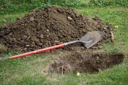 All The News That’s Fit to Bury