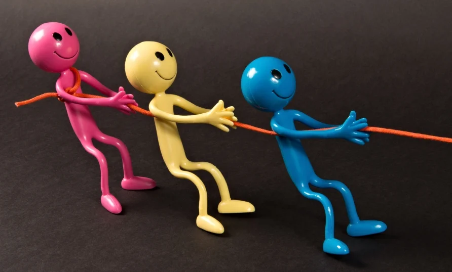 Challenge to the IRP scheme version 2
