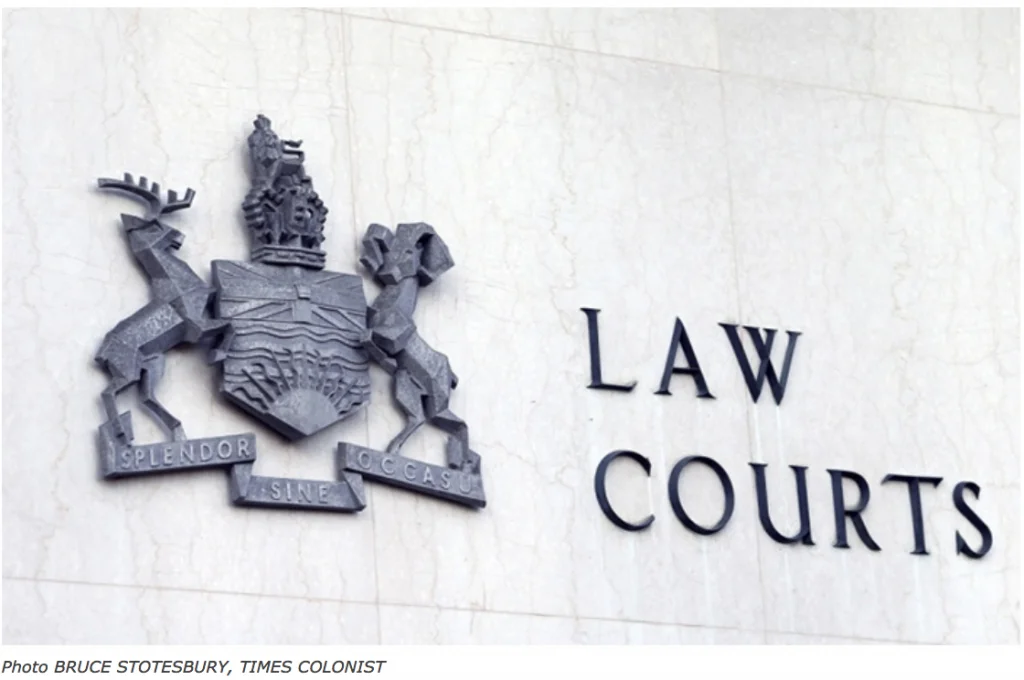 Kyla Lee’s column in Vancouver Is Awesome: Police discipline in impaired driving cases must be fair