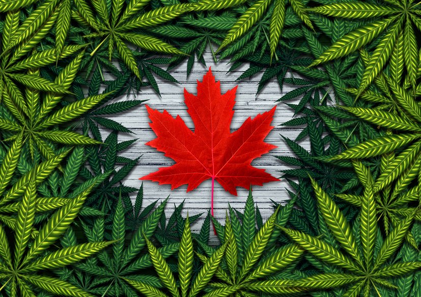 Bill C-46’s assent means challenging marijuana-impaired driving charges will be more vital than ever
