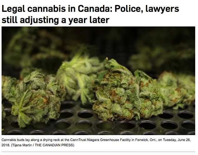 Kyla Lee on CTV News regarding Legal Cannabis Kyla Lee on CTV News regarding Legal Cannabis