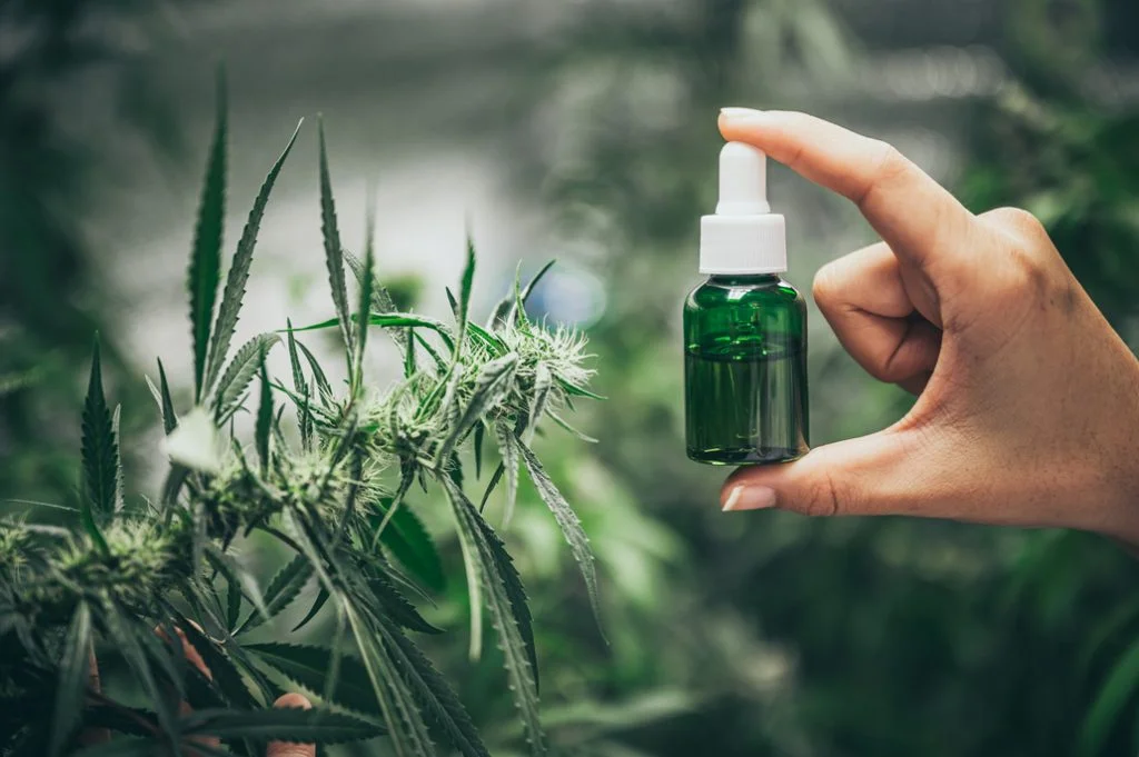Canadians’ cannabis and driving habits revealed Canadians’ cannabis and driving habits revealed