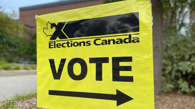 Kyla Lee on Local News Now: If a positive COVID test kept you from voting, what can you do?