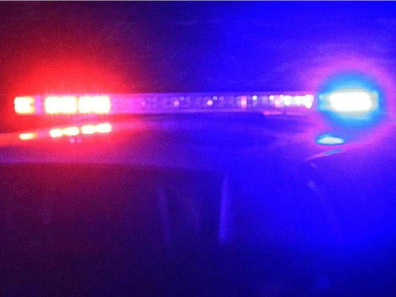 Kyla Lee in The Growth Op: P.E.I. man sentenced after caught driving with four times the legal limit of THC in his blood Kyla Lee in The Growth Op: P.E.I. man sentenced after caught driving with four times the legal limit of THC in his blood