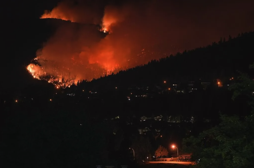 Kyla in Global News: B.C. wildfires: Ignoring evacuation order against the law, says defence lawyer